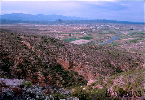 Calitzdorp view